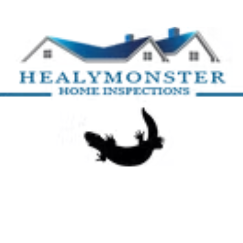 healymonsterhomeinspections